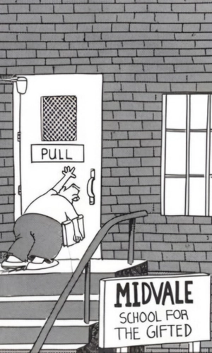 School for the gifted