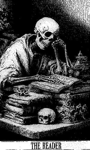 The Reader - FIXED v3