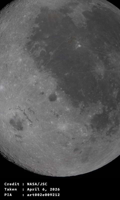 Orientale on Display