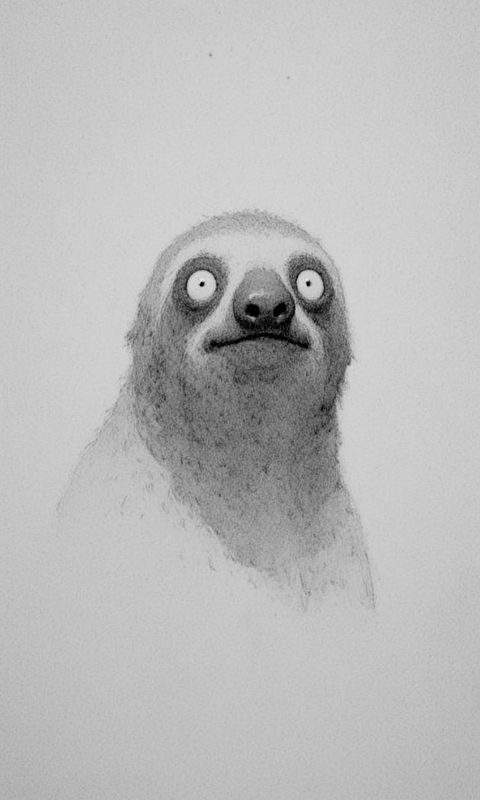 Sloth