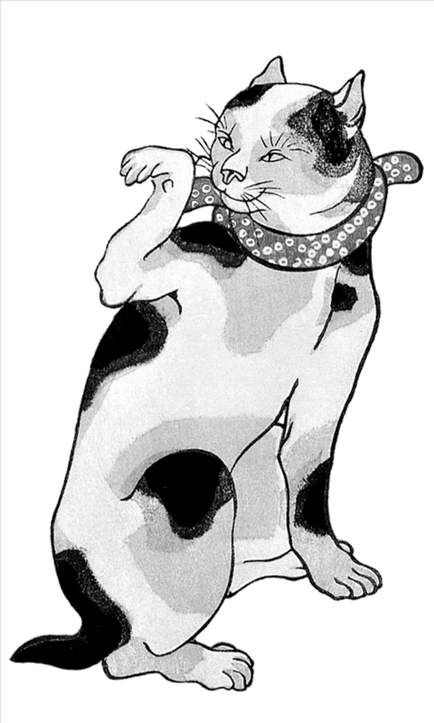 Kuniyoshi Cat