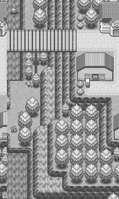 Pokemon River Town