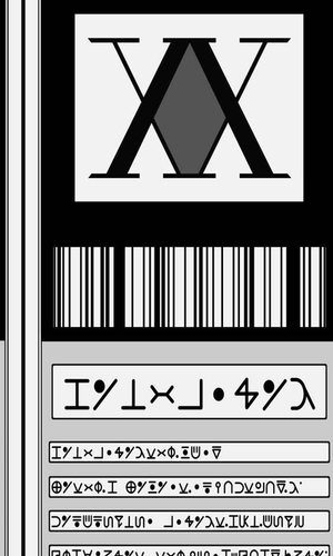 HunterXHunter License