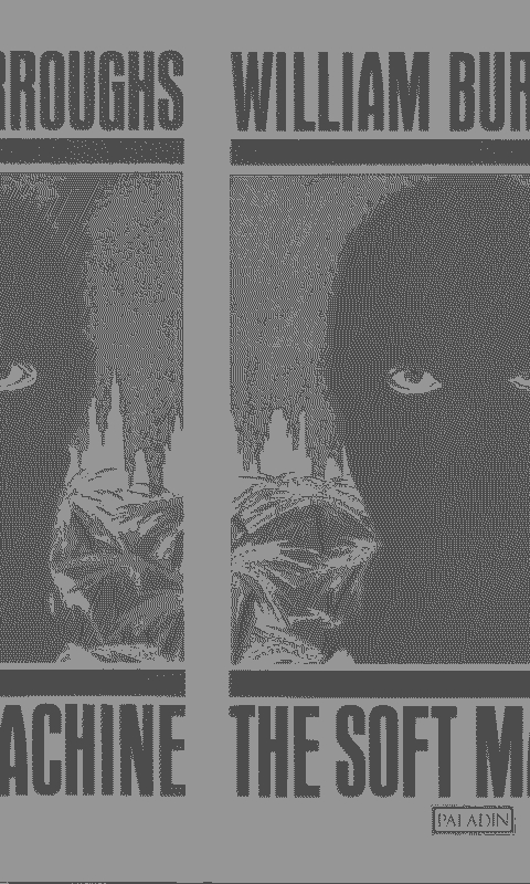 Soft Machine Book Cover