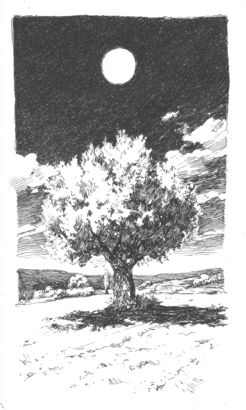 tree and moon