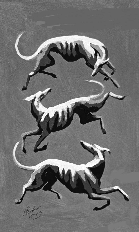 Greyhounds