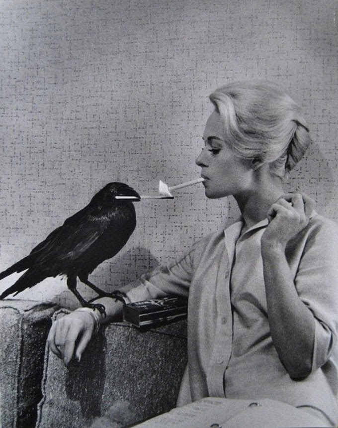 tippi hedren and crow - alfred hitchcock's The Birds