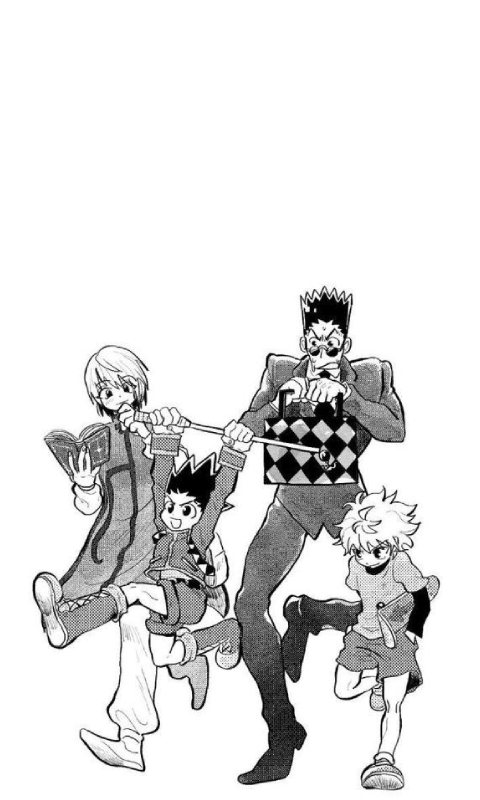 hunter x hunter