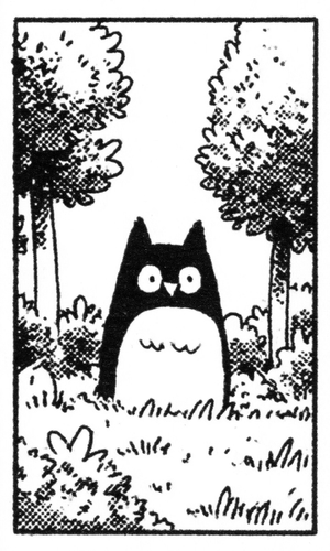 owl animal in forest