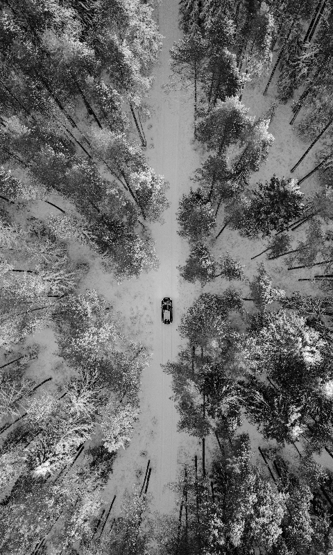 Car Snowy Forest by Aivars Vilks