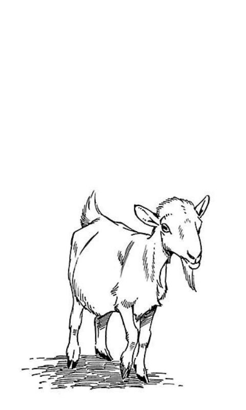 Goat (Otoyomegatari by Kaoru Mori)