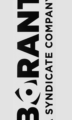 Borant Logo Landscape