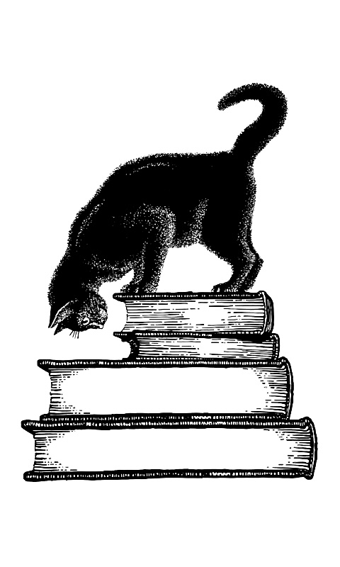 Cat on Bookstack