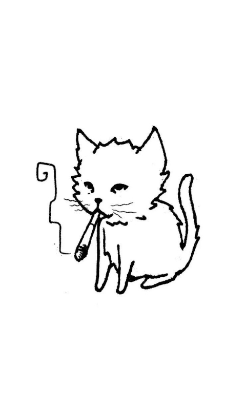 Smoking Cat