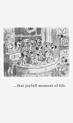 La noche de las narices frías